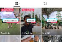 Akun tiktok Jasa Kongkon Purworejo milik pemuda Pituruh, Purworejo, Luthfi.