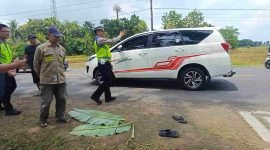 Petugas Satlantas Polres Purworejo sedang melakukan oleh TKP laka lantas di Banyuurip.