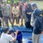 Pengurus Pusat Kagama Pemberdayaan Masyarakat, mahasiswa KKN Universitas Gadjah Mada (UGM), dan Kelompok Tani Murakabi I Desa Karangrejo, Kecamatan Loano, Kabupaten Purworejo membuat pupuk NPK dari kotoran sapi.