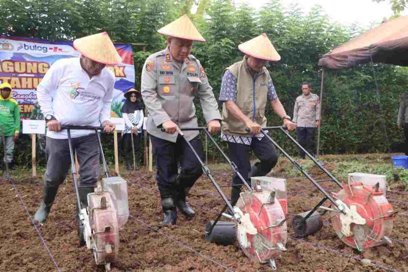 Kapolres Purworejo, AKBP Windy Syafutra, memimpin aksi penanaman di lahan pertanian seluas 2 hektare.