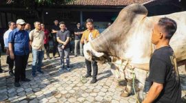 Gubernur Jawa Tengah Ahmad Luthfi dampingi Ketua MPR RI Ahmad Muzani mengunjungi peternakan sapi modern di Purworejo pada Sabtu lalu.