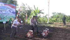 Program ketahanan pangan Polres Purworejo melalui kegiatan penanaman jagung serentak.