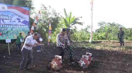 Program ketahanan pangan Polres Purworejo melalui kegiatan penanaman jagung serentak.
