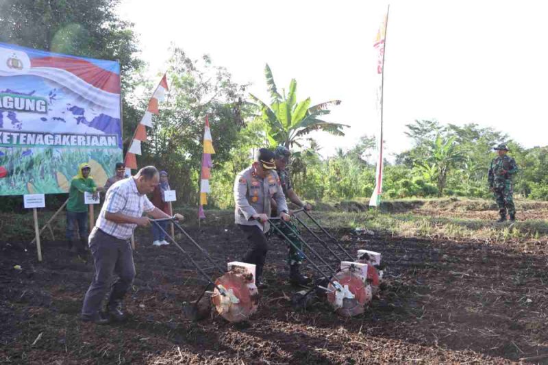 Program ketahanan pangan Polres Purworejo melalui kegiatan penanaman jagung serentak.