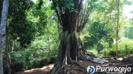 Pemkab Purworejo Matangkan Upaya Pelestarian Situs Prasasti Kayu Arahiwang