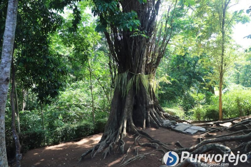 Pemkab Purworejo Matangkan Upaya Pelestarian Situs Prasasti Kayu Arahiwang
