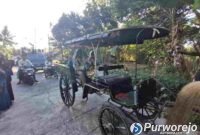 Pasangan guru pulang haji di Purworejo di bawa dengan arak-arakan kereta kuda. 