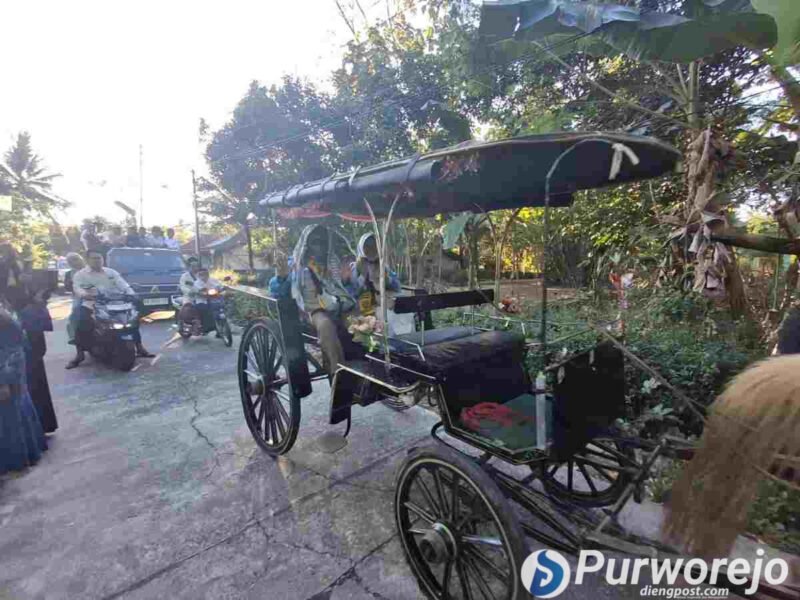 Pasangan guru pulang haji di Purworejo di bawa dengan arak-arakan kereta kuda. 