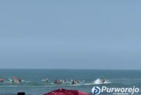 Acara perayaan adat Sedekah Laut Kertojayan Purworejo pada Minggu (12/7/2026).