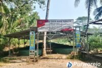 Program bantuan budidaya lele dan tanaman dari Kementerian Kelautan dan Perikanan (KKP) di Kaliharjo, Purworejo.
