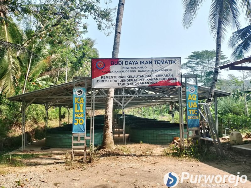 Program bantuan budidaya lele dan tanaman dari Kementerian Kelautan dan Perikanan (KKP) di Kaliharjo, Purworejo.