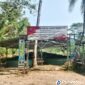 Program bantuan budidaya lele dan tanaman dari Kementerian Kelautan dan Perikanan (KKP) di Kaliharjo, Purworejo.